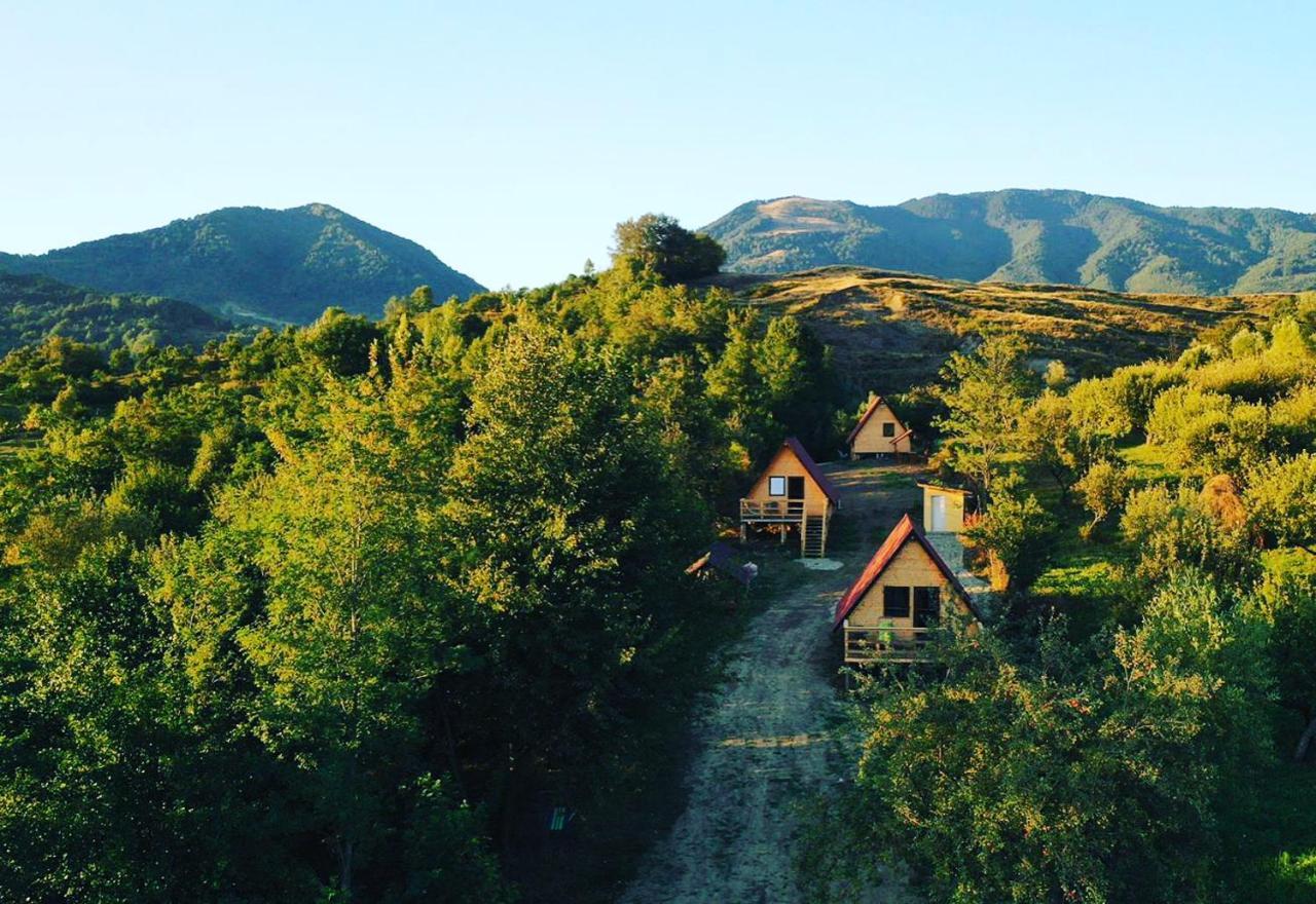 Cabanele Lu' Dinu Curtea de Argeş Exteriér fotografie