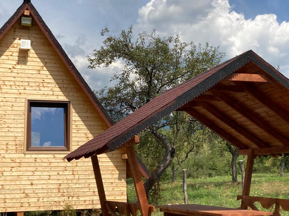 Cabanele Lu' Dinu Curtea de Argeş Exteriér fotografie