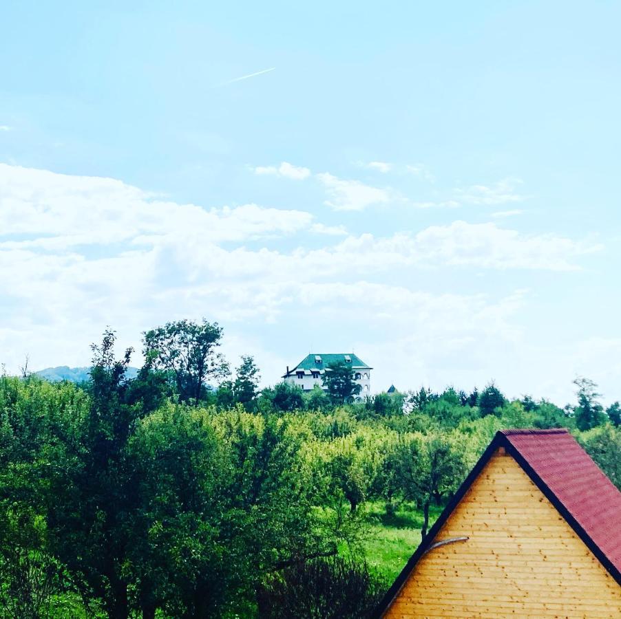 Cabanele Lu' Dinu Curtea de Argeş Exteriér fotografie