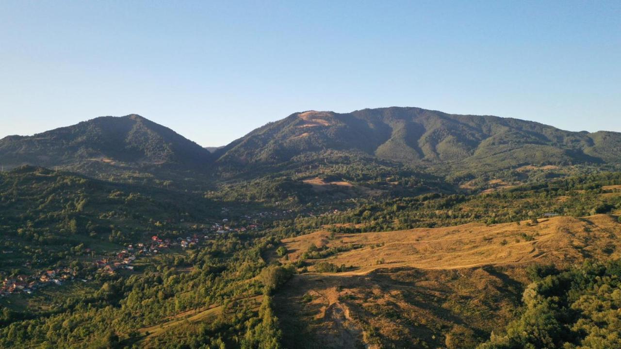 Cabanele Lu' Dinu Curtea de Argeş Exteriér fotografie