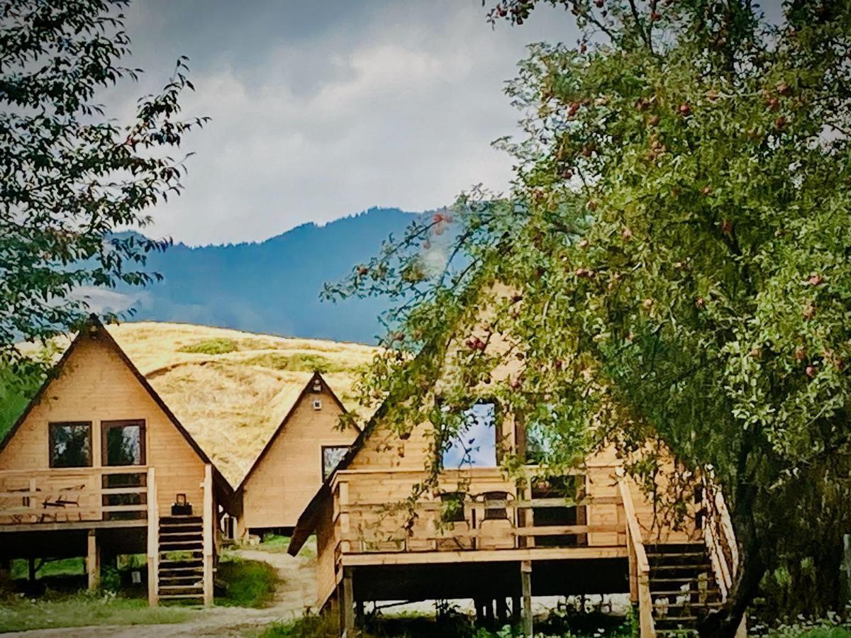 Cabanele Lu' Dinu Curtea de Argeş Exteriér fotografie