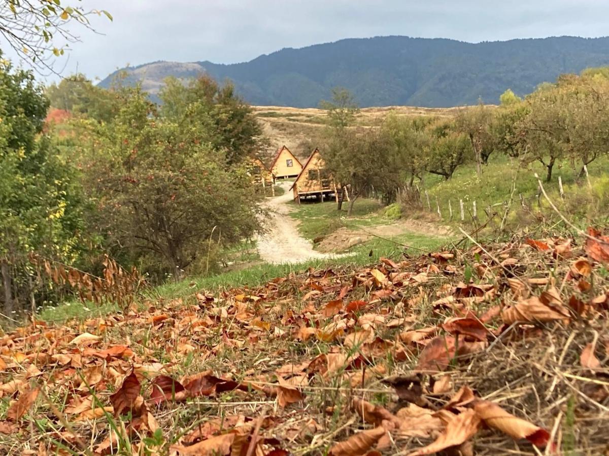 Cabanele Lu' Dinu Curtea de Argeş Exteriér fotografie