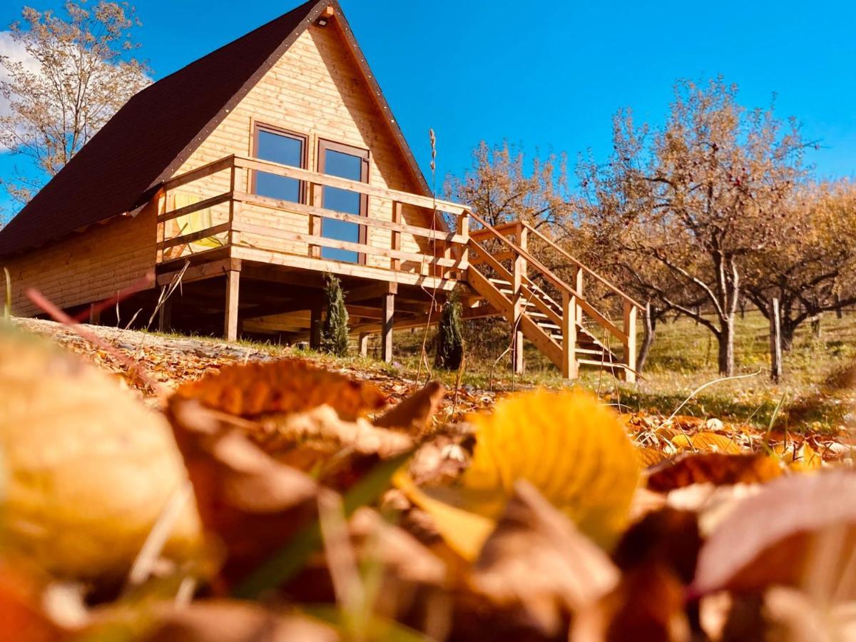 Cabanele Lu' Dinu Curtea de Argeş Exteriér fotografie