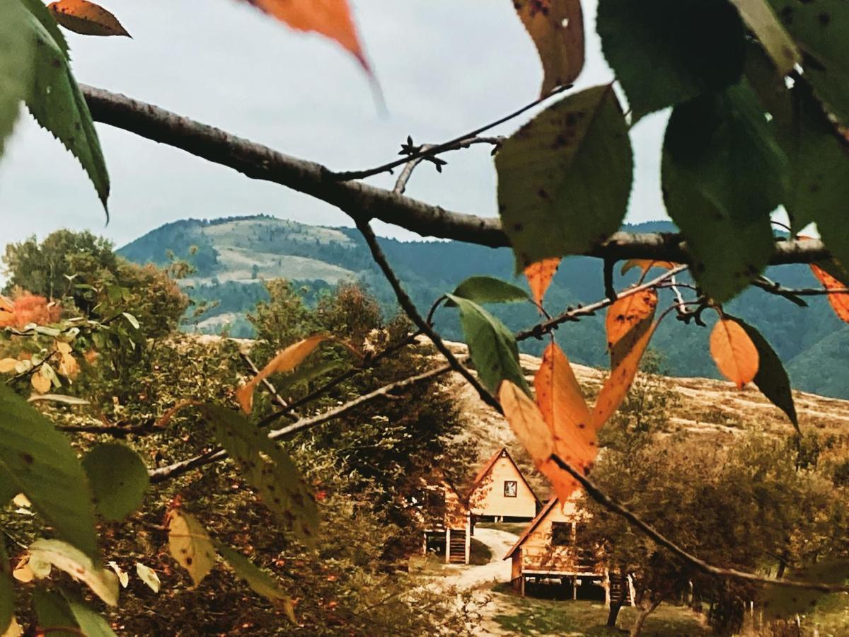 Cabanele Lu' Dinu Curtea de Argeş Exteriér fotografie